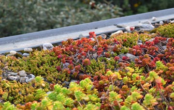 the cost of Penwortham Lane green roof installation