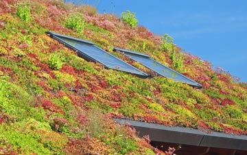 Penwortham Lane living roof systems